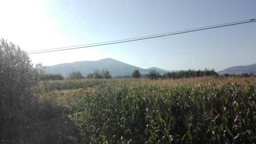 widok, mirosław