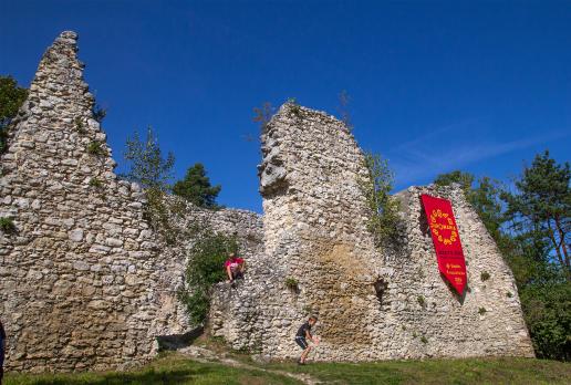 Zamek Bydlin