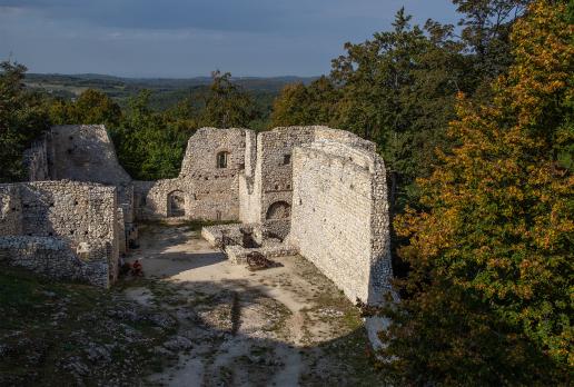 zamek Pilcza