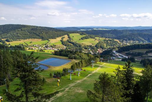 Widok z wieży