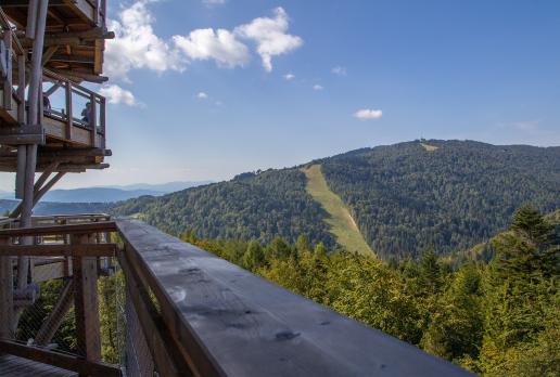 Widok z wieży