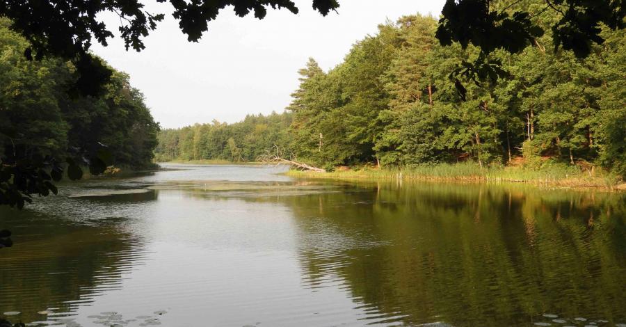 Jezioro Zatorek na podwieczorek - zdjęcie