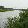 Narew między Górą Strękową a Strękową Górą, Joanna