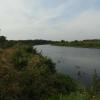 Narew między Górą Strękową a Strękową Górą, Joanna