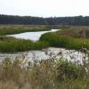 Narew między Górą Strękową a Strękową Górą, Joanna