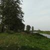 Narew między Górą Strękową a Strękową Górą, Joanna
