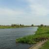 Narew przy jazie w Strękowej Górze, Joanna