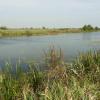 Narew przy jazie w Strękowej Górze, Joanna