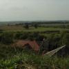 widok z Góry Strękowej, Joanna