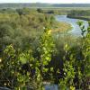 widok z Góry Zamkowej w Wiźnie, Joanna