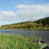Narew w Wiźnie, Joanna