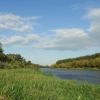 Narew w Wiźnie, Joanna