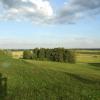 widok z grodziska w Samborach, Joanna