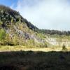 , MaciejW