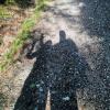 , MaciejW