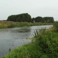 Narew między Górą Strękową a Strękową Górą, Joanna