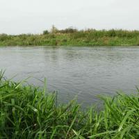 Narew między Górą Strękową a Strękową Górą, Joanna