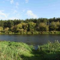 Narew w Wiźnie, Joanna