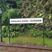Peron Główny, MaciejW