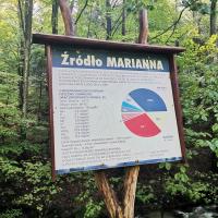 Źródło Marianna, MaciejW