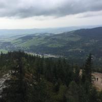 , MaciejW