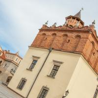 Rynek w Tarnowie