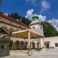 Zamek w Suchej Beskidzkiej