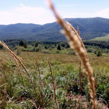 Bieszczady nie takie dzikie - zdjęcie