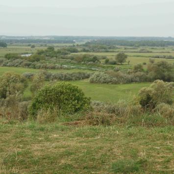 widok z Góry Strękowej, Joanna