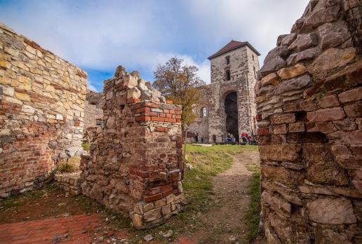 Zamek Tenczyn