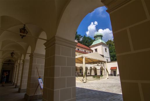 Zamek w Suchej Beskidzkiej