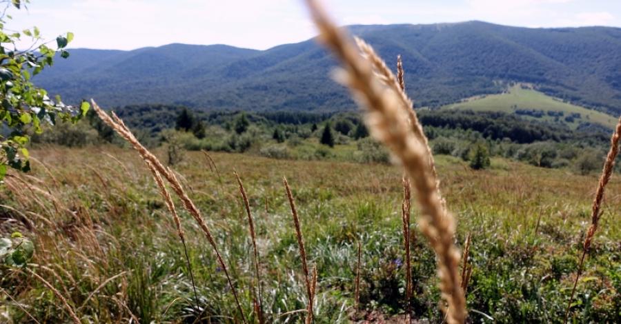 Bieszczady nie takie dzikie - zdjęcie