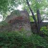 , Mariusz