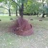 Ogród botaniczny Łódź, tomtur