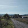 drugi, mirosław