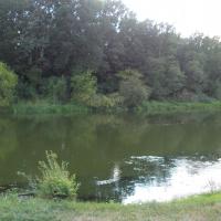Pilica w Spale, tomtur