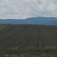 czwarty, mirosław