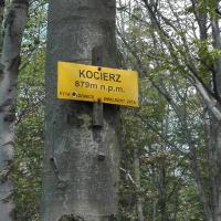 , mirosław