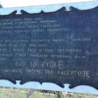 , mirosław