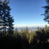 , MaciejW