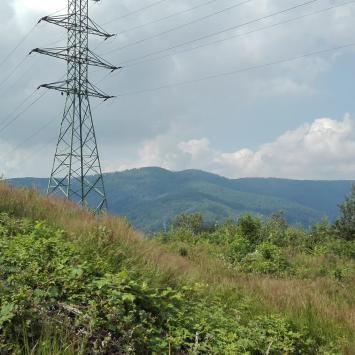 widok, mirosław