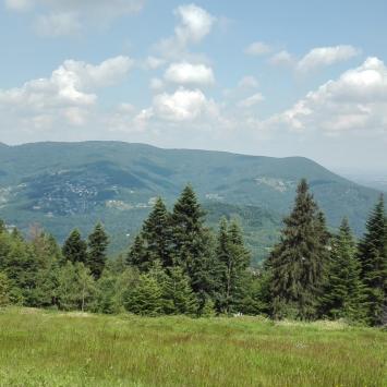 widok, mirosław