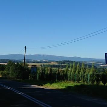 W drodze z powrotem do Jeleniej Góry, Mariusz