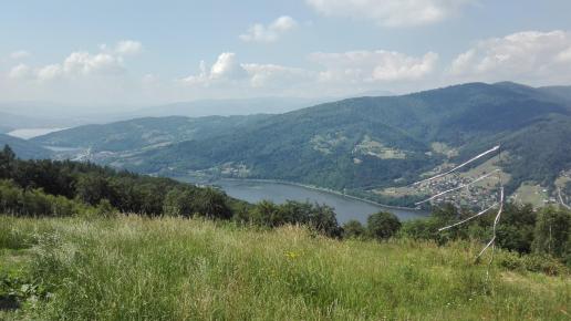 , mirosław
