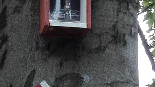 na szlaku, mirosław
