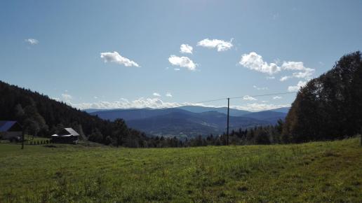 widok, mirosław