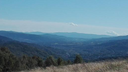 widok, mirosław