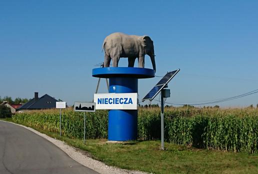 , Mariusz