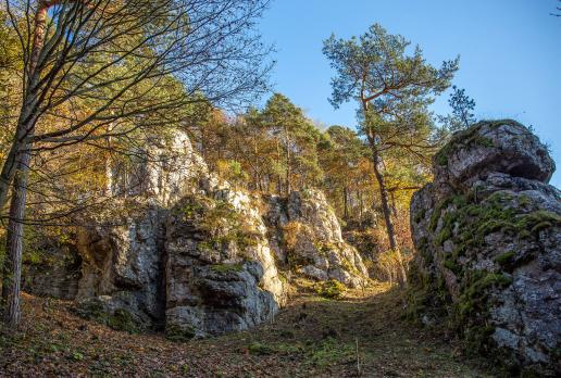 Dolina Bolechowicka