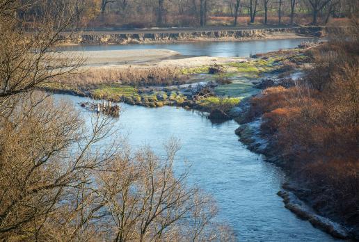 Odra